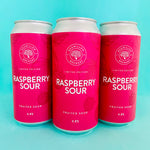 Raspberry Sour [Fruited Sour]