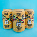 Journey Juice 330ml [Fruited AF IPA]